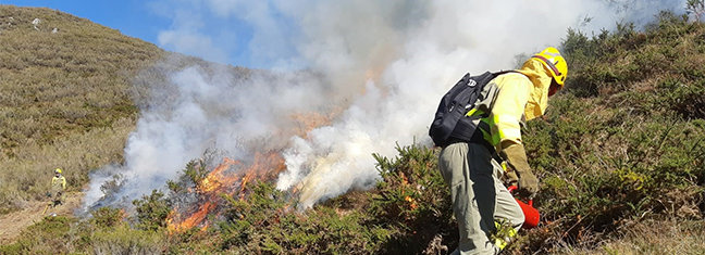 incendios_coleglio_ing_forestales.png