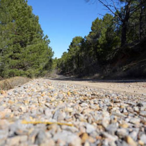 pistas_forestales