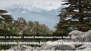 7 Mediterranean Forest Week 7 Mediterranean Forest Week