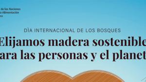 Día Internacional de los Bosques 2022 Día Internacional de los Bosques 2022