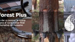 INTERREG Sudoe SustForest Plus noticias INTERREG Sudoe SustForest Plus noticias