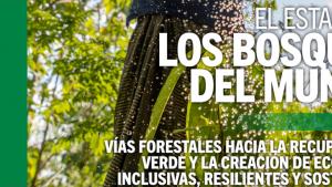 Bosques FAO 2022 Bosques FAO 2022