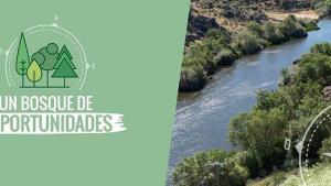 cursos Empleo ASEMFO cursos Empleo ASEMFO