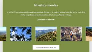 Asoc Propietarios Forestales Andalucía Asoc Propietarios Forestales Andalucía