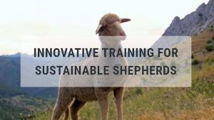 Eu4Shepherds news Eu4Shepherds news