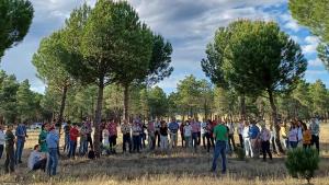 II Simposio GO PINEA pino piñonero II Simposio GO PINEA pino piñonero