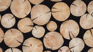 subastas y mercados madera mercados madera