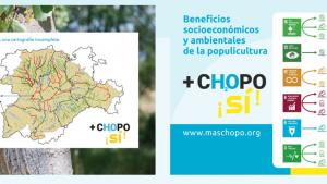 plataforma mas chopo si plataforma mas chopo si