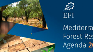 Agenda de Investigación Forestal Mediterránea 2030 (MFRA 2030)