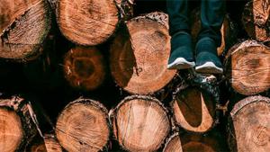 FAO Sustainability by Numbers