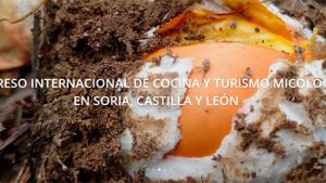 VIII Congreso Internacional ‘Soria Gastronómica