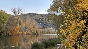 Soluciones basadas en la naturaleza