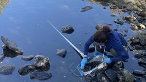 LIFE ALNUS TAEJO Salamanca