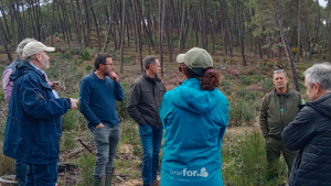 Auditoria CyL PEFC 2024