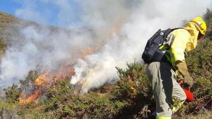 Quema prescrita COITF