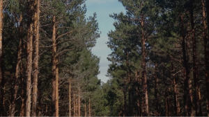 LIFE Soria ForestAdapt conferencia final