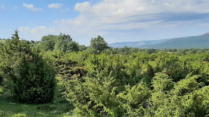 BEONNAT Project BEONNAT Project