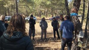 LivingLab resina COCA