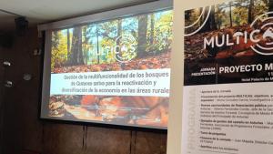 MULTICAS se presenta en Tineo