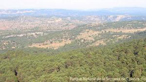 20090925_parque20natural20serrania20cu.jpg