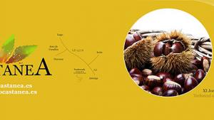 biocastanea_2020.jpg