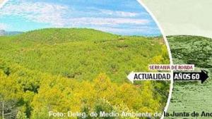 bosques-660x371.jpg