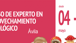 cartel-recurso-micologico_avila-cesefor.png