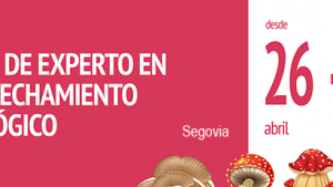 cartel-recurso-micologico_segovia-01-cesefor.png