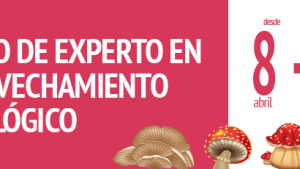 curso-experto-micologico_cesefor.png