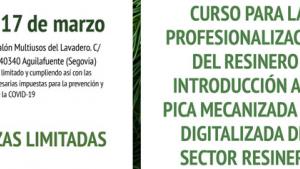 curso_resina_sg.jpg
