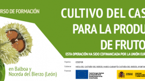 cursos_formacion.png