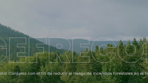 gefrecon.png