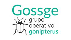 gosse.jpg