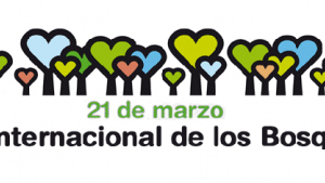 idfbanner_es_carrusel_tcm7-365209.png