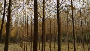 img_20151016_143321748.jpg