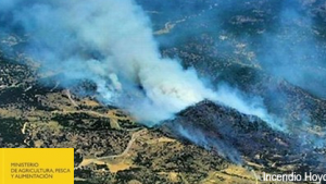 incendios.png