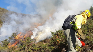 incendios_coleglio_ing_forestales.png