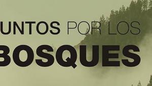juntosxlosbosques.jpg