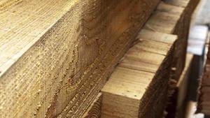 madera_cesefor.jpg