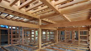 madera_construccion.png