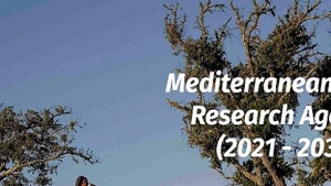 medagenda.png