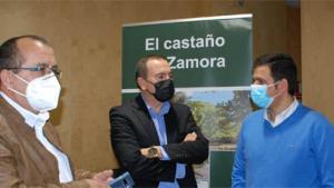 mesa_castano_zamora.jpg