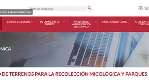 micoapp.jpg