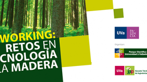 networking_palencia.png
