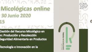 ok_cartel_jornadas_formacion_micologica_22_23_24_30_junio_copia.jpg