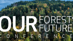 ourforests.png