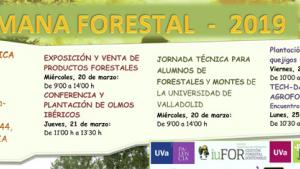 programa_sm_19_rev_1-1.jpg