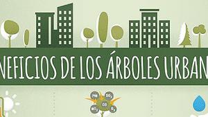 urban_forestry.jpg