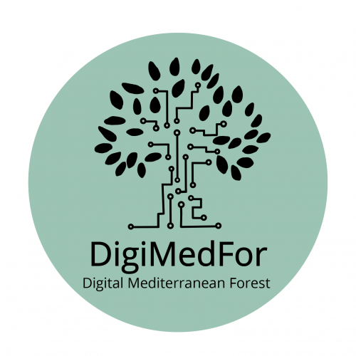 Digital Mediterranean Forest