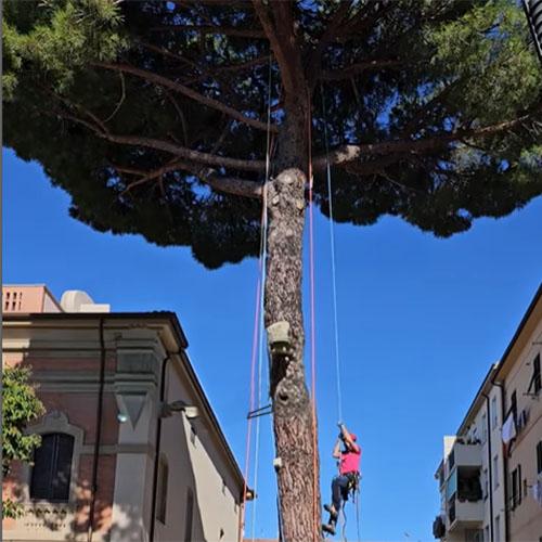 Treesure_card_project